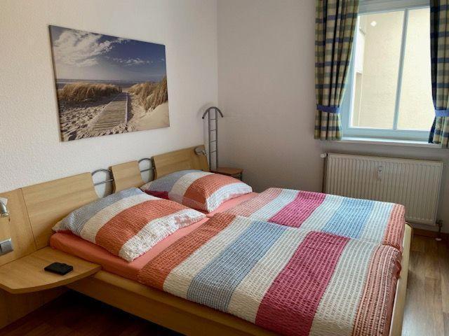 Haus-Olymp-Apartement-01-Kuehlungsborn-Nur-50-M-Bis-Zum-Strand-Ca-50-M2-2-Raeume-Sehr-Gepflegt Dış mekan fotoğraf